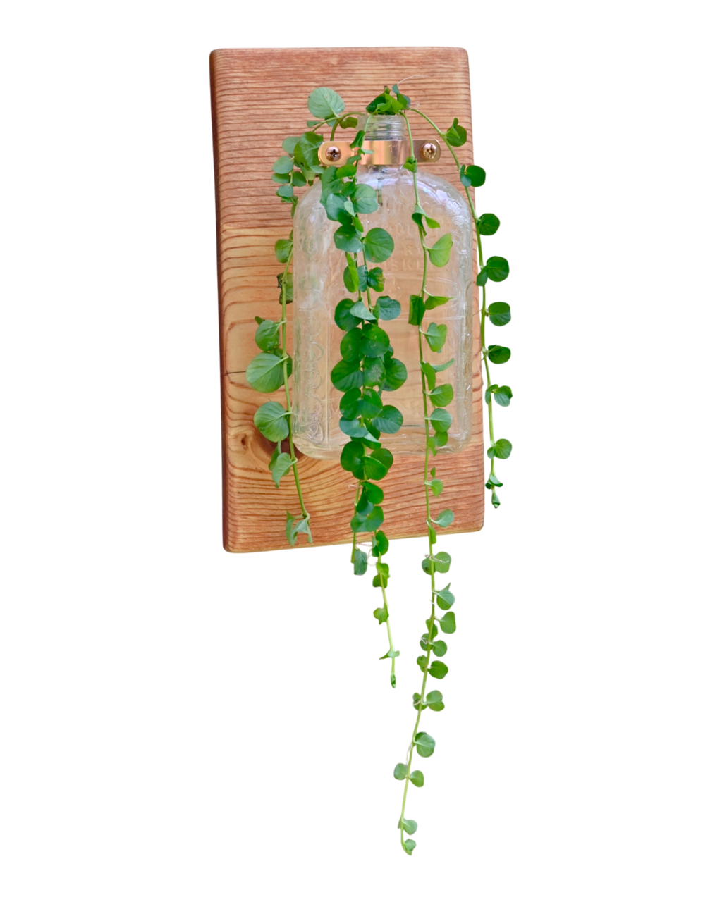 Antique “Pure R Whiskey” Bottle Wall Vase | 11.25” x 6” | c. Early 1900s