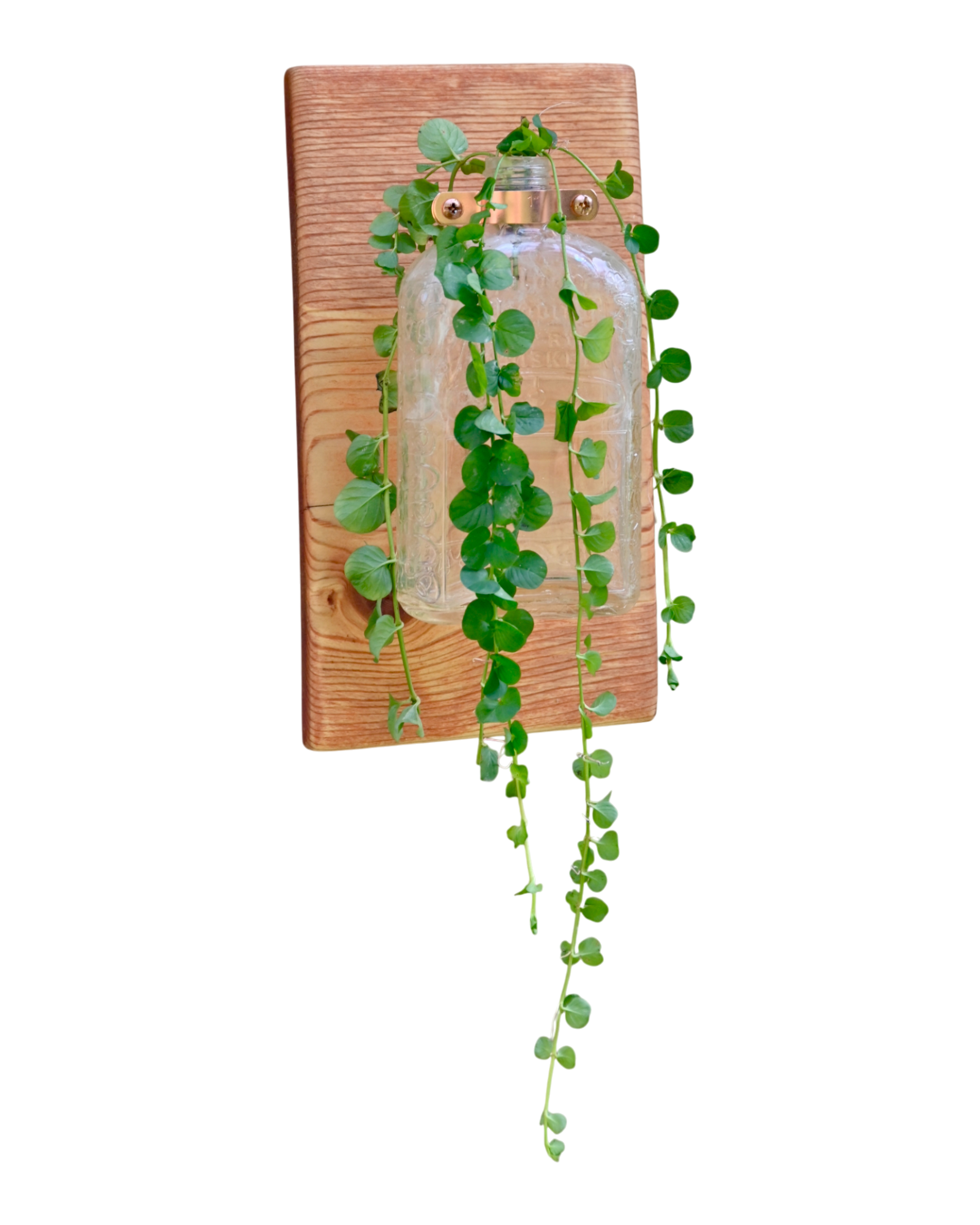 Antique “Pure R Whiskey” Bottle Wall Vase | 11.25” x 6” | c. Early 1900s