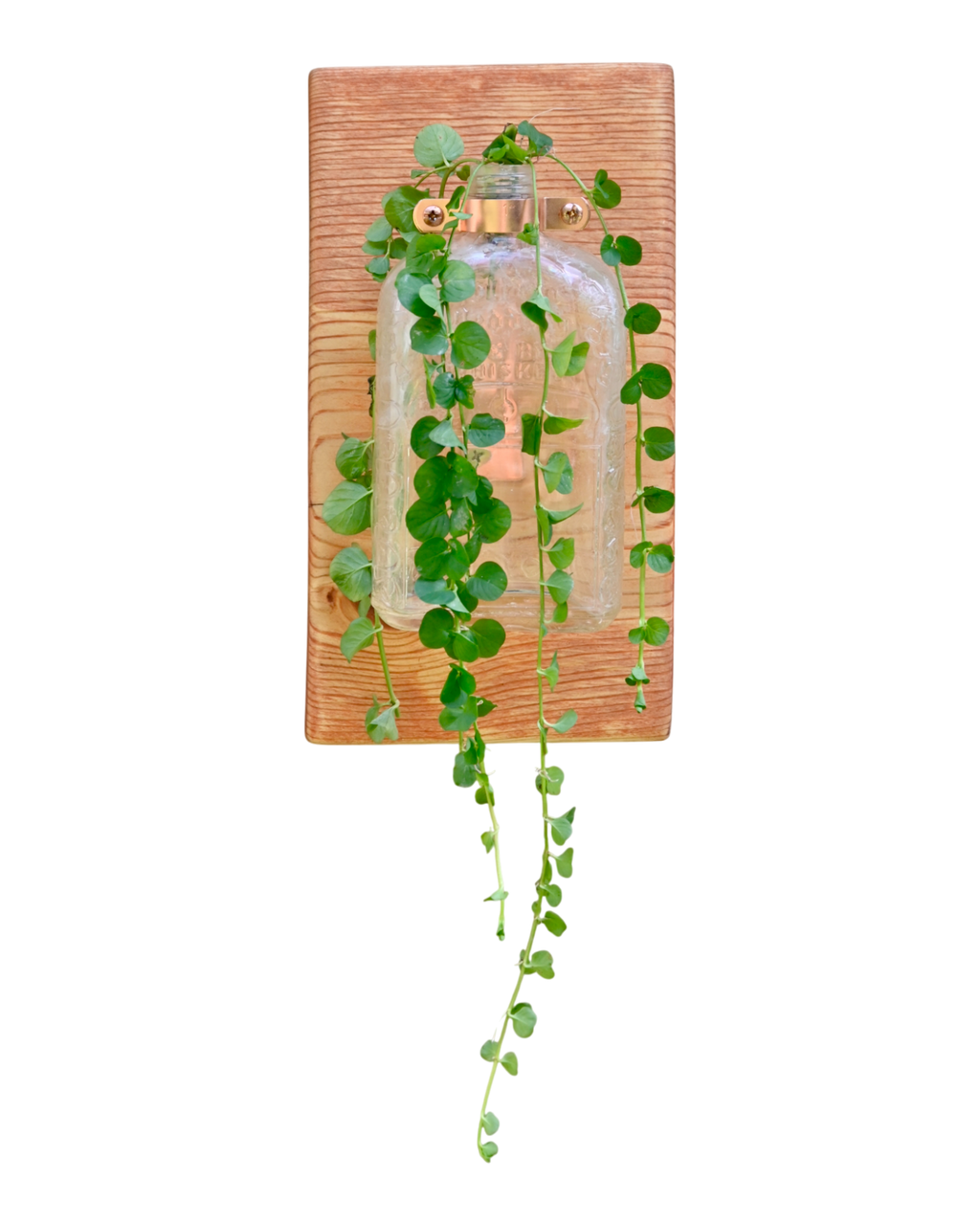 Antique “Pure R Whiskey” Bottle Wall Vase | 11.25” x 6” | c. Early 1900s