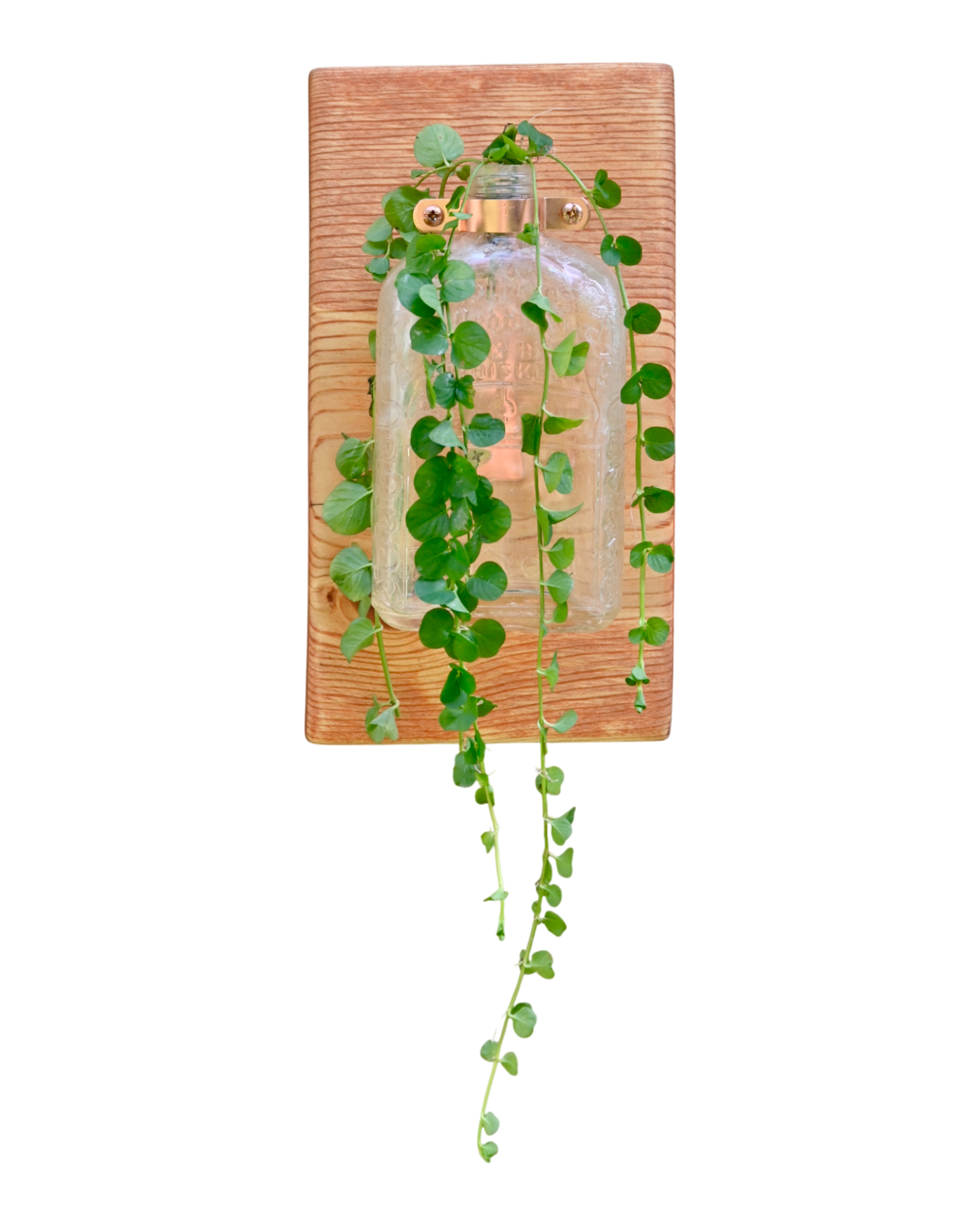 Antique “Pure R Whiskey” Bottle Wall Vase | 11.25” x 6” | c. Early 1900s