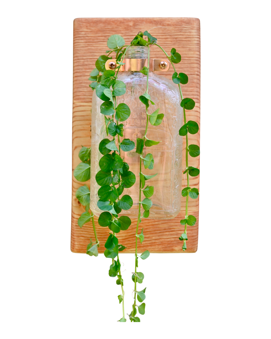 Antique “Pure R Whiskey” Bottle Wall Vase | 11.25” x 6” | c. Early 1900s