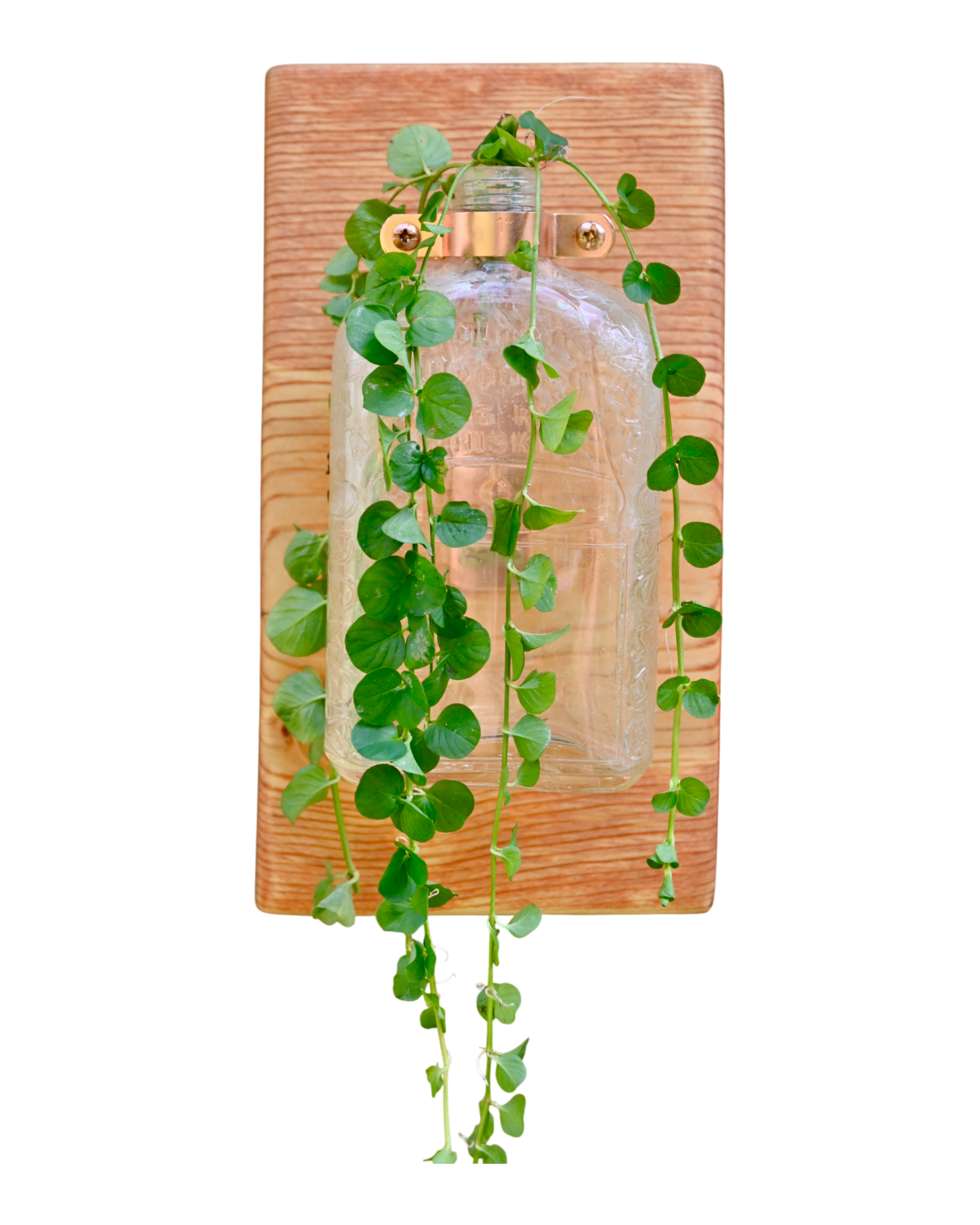 Antique “Pure R Whiskey” Bottle Wall Vase | 11.25” x 6” | c. Early 1900s