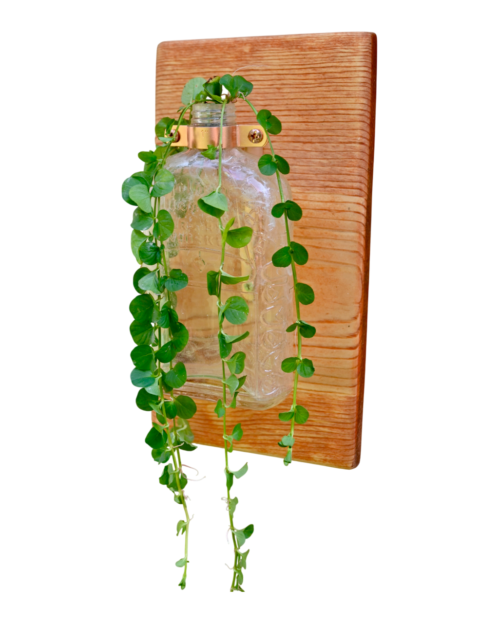 Antique “Pure R Whiskey” Bottle Wall Vase | 11.25” x 6” | c. Early 1900s