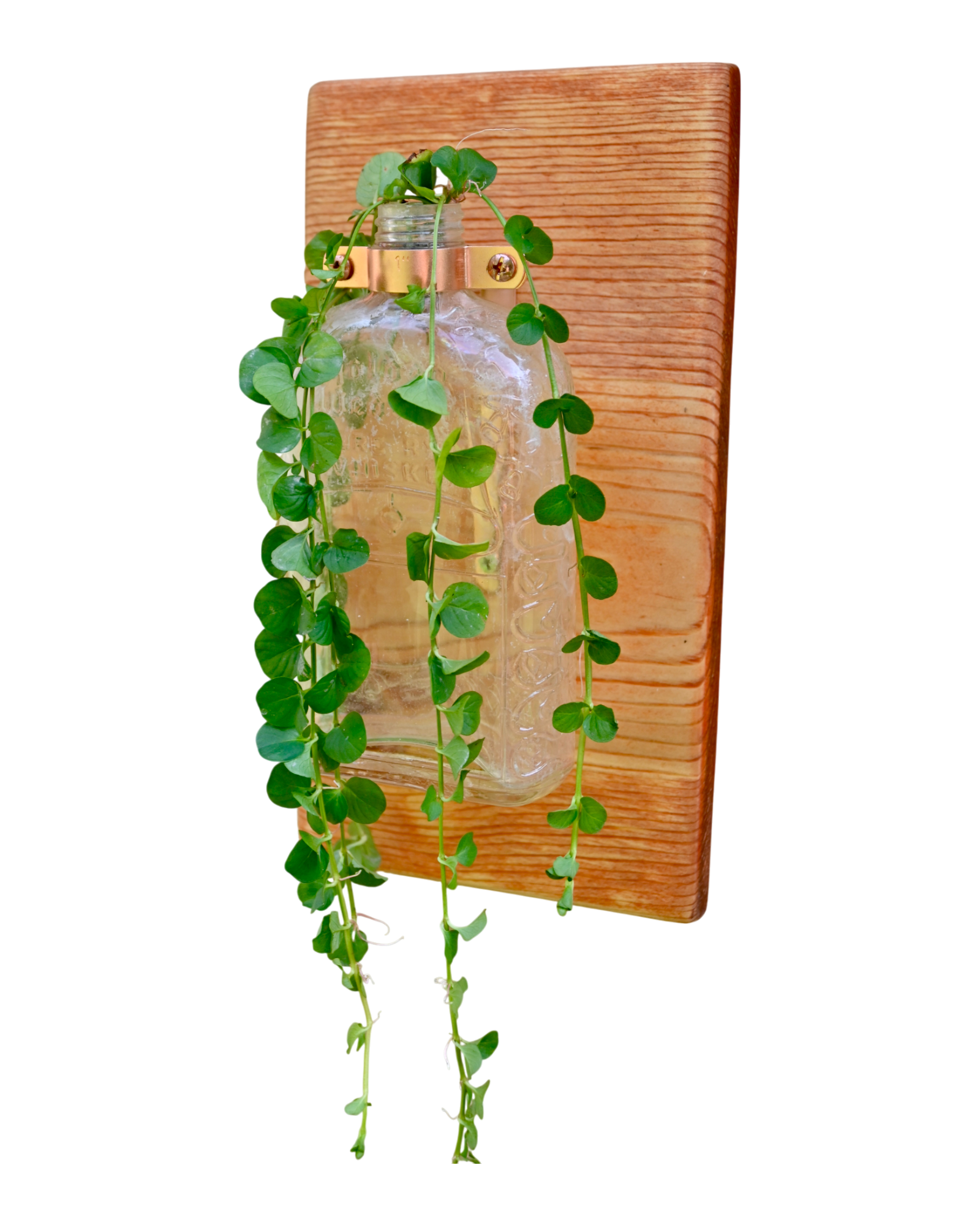 Antique “Pure R Whiskey” Bottle Wall Vase | 11.25” x 6” | c. Early 1900s